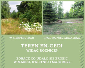 En-Gedi miejsce schronienia