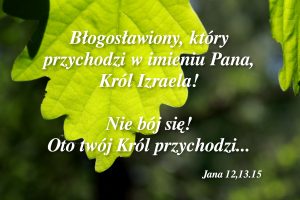 niedziela palmowa - Nasz Król nadchodzi!